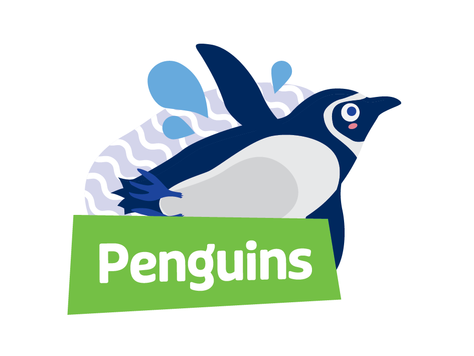 Level 6 - Penguins