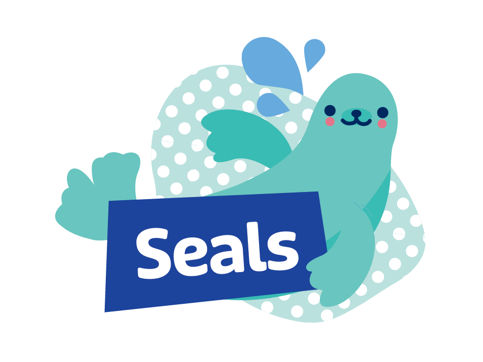 Level 5 - Seals